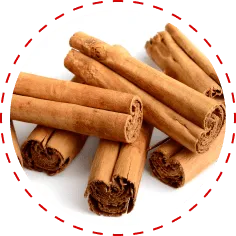 Organic Ceylon Cinnamon Icon